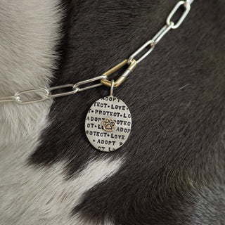 Medium Sterling Silver APL Charm