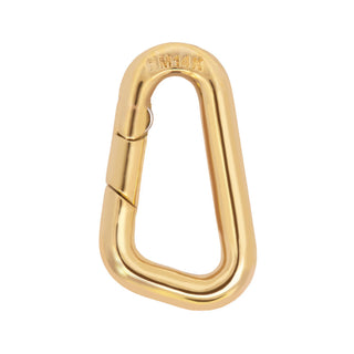 Small Carabiner Hinge