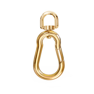 Swivel Carabiner Hinge