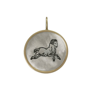 Zodiac Large Round Charm