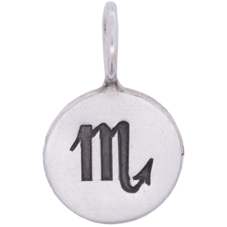 Zodiac Sign Round Charm