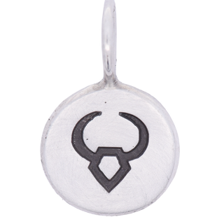 Zodiac Sign Round Charm